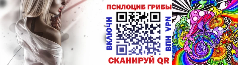 гидра сайт  где найти   Рубцовск  Псилоцибиновые грибы Psilocybe 